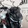 Windschild Timotox für Yamaha MT 09 850 RN43 2017-2020