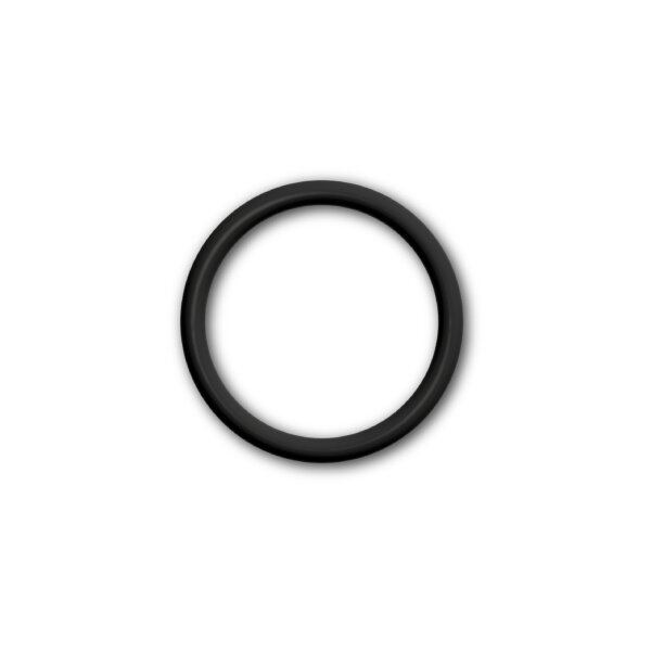 Dichtring Ölablassschraube / Ölsieb O-Ring 2 x 17 mm für KTM Adventure 790 2024