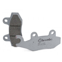 Bremsbelag (Bremsklotz) Sinter SX Brembo vorne/hinten für Modell:  